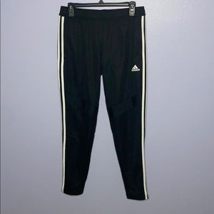 adidas pants